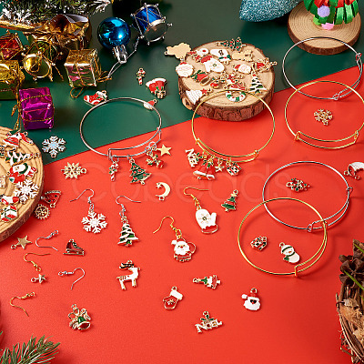 DIY Jewelry Kits DIY-TA0011-91-1