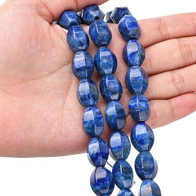 Natural Lapis Lazuli Beads Strands G-K311-09B-1