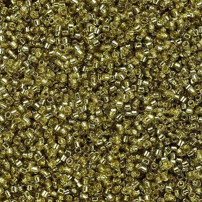 MIYUKI Delica Beads SEED-MY11-DB2164-1