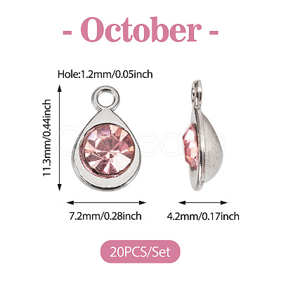20Pcs Faceted Glass Charms RGLA-TADJ0001-01G-1
