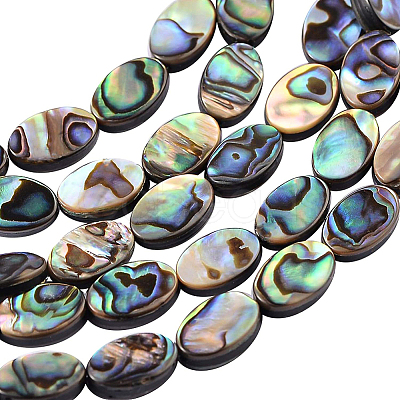 Natural Abalone Shell/Paua Shell Beads SSHEL-BC0001-08-1