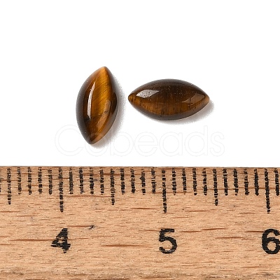 Natural Tiger Eye Cabochons G-F772-01B-10-1