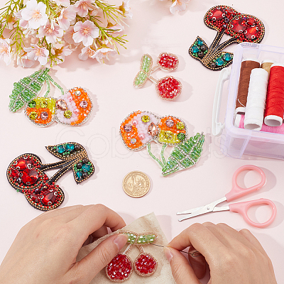 6Pcs 3 Styles Cherry Acrylic Iron on/Sew On Patches PATC-GF0001-50-1