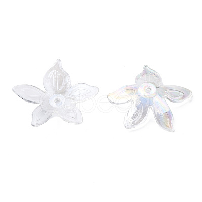 Transparent Acrylic Beads MACR-S373-102-C07-1