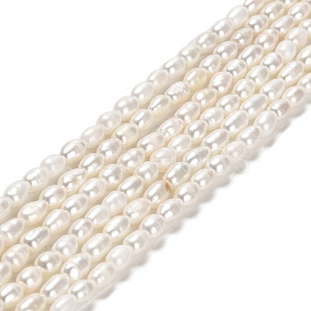 Natural Cultured Freshwater Pearl Beads Strands PEAR-E016-143-1