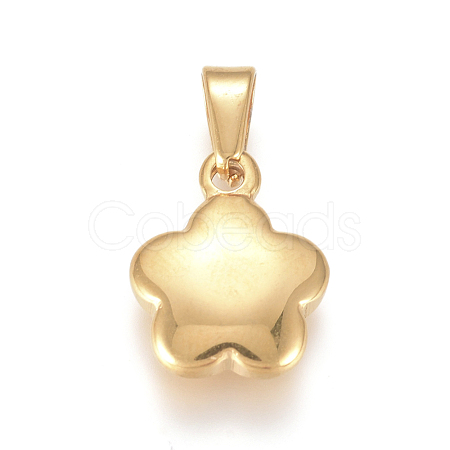 304 Stainless Steel charms STAS-I127-005G-01-1