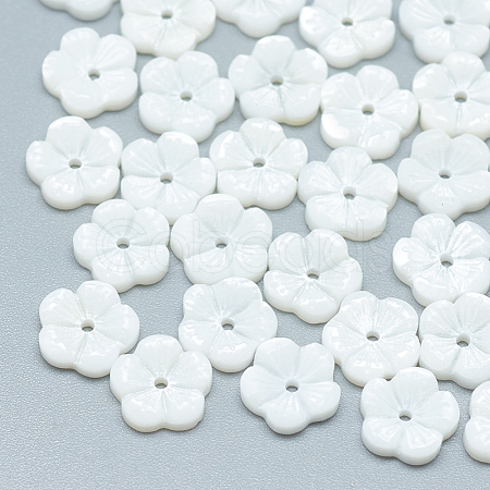 Freshwater Shell Beads SHEL-S275-015-1