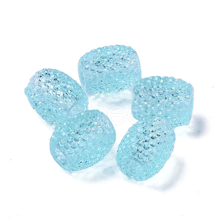 Transparent Resin European Jelly Colored Beads RESI-B025-01A-11-1