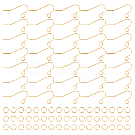 60Pcs 304 Stainless Steel Earring Hooks DIY-DC0001-53-1