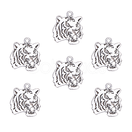 Tibetan Style Alloy Tiger Head Pendants TIBEP-PH0004-85-1