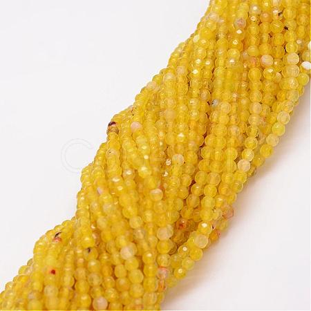 Natural Agate Bead Strands G-G882-4mm-A04-1