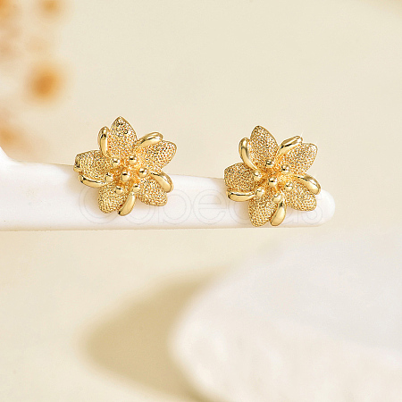Brass Stud Earrings LS3031-5-1