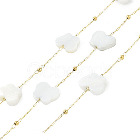 Butterfly Ion Plating(IP) 304 Stainless Steel Chains AJEW-Q150-03G-02-1
