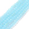 Electroplate Glass Beads Strands EGLA-A034-J6mm-L06-1