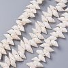 Natural Spiral Shell Beads Strands BSHE-I016-07-1