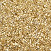 Glass Bugle Beads SEED-S032-08A-22-3