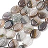 Natural Agate Beads Strands G-L654-B01-01-2