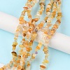 Natural Yellow Aventurine Beads Strands G-G0003-B15-2