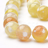 Dyed Natural Fire Crackle Agate Beads Strands X-G-Q462-127D-8mm-3