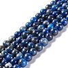 Natural Lapis Lazuli Round Bead Strands X-G-E262-01-6mm-1