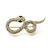 Snake Aolly Rhinestone Brooches JEWB-V008-01LG-04-2