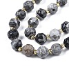 Natural Map Stone/Picasso Stone Beads Strands G-N326-100-09-3