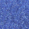 MIYUKI Delica Beads X-SEED-J020-DB0077-3