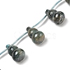 Electroplate Natural Hemimorphite Beads Strands G-U012-A04-2