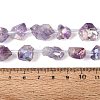 Electroplate Raw Rough Natural Amethyst Beads Strands G-Q610-06F-5