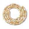 Natural Trochid Shell/Trochus Shell Beads Strands SSHEL-N034-77-B01-2