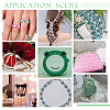 DIY Beads Kit DIY-PH0021-98B-3