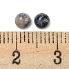 Natural Blue Spot Jasper Cabochons G-H309-03-57-3