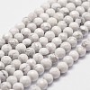 Natural Howlite Beads Strands G-D840-44-4mm-1
