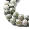 Natural Peace Jade Beads Strands G-E598-04B-4