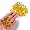 Glass Seed Beads SEED-A004-3mm-10-4