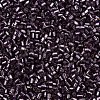 Glass Bugle Beads SEED-S032-08A-41A-3