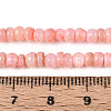 Natural Freshwater Shell Dyed Beads Strands SHEL-T020-29A-05-4
