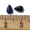 Dyed Natural Lapis Lazuli Cabochons G-Q173-02A-03-3