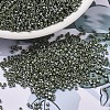 MIYUKI Delica Beads SEED-J020-DB1566-1