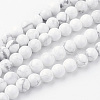 Natural Howlite Bead Strands G-G735-66-6mm-2
