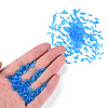 Transparent Glass Bugle Beads SEED-N005-001-C10-5