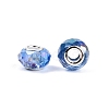 Transparent Glass European Beads GPDL-N004-D14mm-A13-2