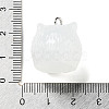 Translucent Resin Pendants RESI-R445-01B-3