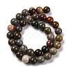 Natural Picture Jasper Beads Strands G-H037-A01-03-3