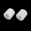 Natural White Jade European Beads G-P520-05W-3