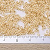 MIYUKI Delica Beads SEED-JP0008-DB0099-2