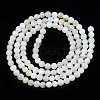 Natural Freshwater Shell Beads Strands BSHE-T009A-01A-3