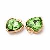 Faceted Glass Rhinestone Pendants GLAA-I051-B15-3