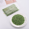Plated Glass Bugle Beads SEED-S046-01B-49A-2