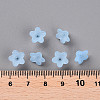 Transparent Acrylic Beads X-PL554-12-5